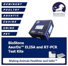 BioStone